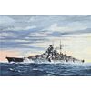 ARW90.05098-Battleship Bismarck 1:700