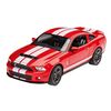 ARW90.07044-2010 Ford Shelby GT 500