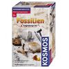 MITBRING Fossilien 7+