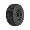 Proline Gladiator SC M2 MTD Raid