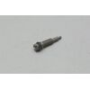 Mixture Control Screw - (8AA)