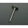 INTAKE VALVE FL70