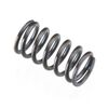 VALVE SPRING FS26SC.V-2