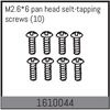 AB1610044-M2.6*6 pan head selt-tapping screws (10)