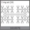 AB1610076-C-ring set (24)