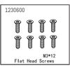 AB1230600-Flat Head Screw M3*12 (8)