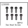 AB1230590-Cap Head Screw M3*12 (8)