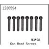 AB1230594-Cap Head Screw M3*28 (8)