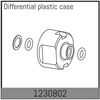 AB1230802-Differential Case and Sealing