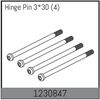 AB1230847-Inner Hinge Pin 33x30mm (4)