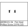ABZ86101-34-Flat Head Phillips Screw 2.5*8 - Mini AMT (10)