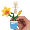 Drück Blume, 2 Motive