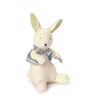 Hase Buddy