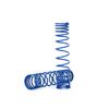 Spring, shock, rear (blue) (GTR)