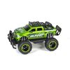 TEC-TOY Raptor Runner