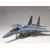 F-15C Eagle