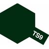 Spray TS-9 vert