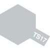 Spray TS-17 alu