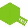 Spray TS-22 vert