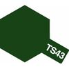 Spray TS-43 vert