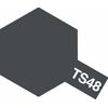 Spray TS-48 gris