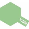 Spray TS-60 vert