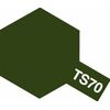 Spray TS-70 olive Drab