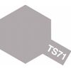 Spray TS-71 Smoke