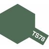 Spray TS-78 Field Gray 2