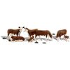 H0 Vaches Hereford