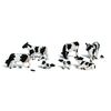 H0 Vaches Holstein