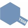 ARW10.85058-Spray TS-58 ph'blau