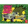 1965 Ford Galaxie Jolly Green Gasser