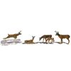 N Cerfs / gibier