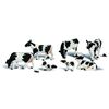 N Vaches Holstein
