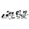 0 Vaches Holstein
