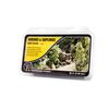 ARBUSTES ET JEUNES ARBRES VERT CLAIR