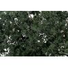 Feuillage fin vert foncé