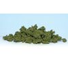 Clump Foliage vert clair