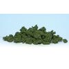 Clump Foliage vert moyen