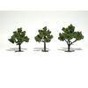 Feuillus vert clair 7 - 10 cm (3 pcs)