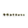 3/4-1 1/4 Early Light 8/Pk