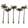 4 3/4-5 1/4 Lg Palm Tree 5/Pk