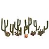 ARW14.TR3600-1/2-2 1/2'' Cactus Plants 13/Pk