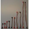 Câble d'extension Gyro 65mm rouge