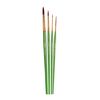 Coloro Brush 1