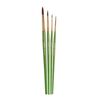 Coloro Brush 4
