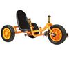 Tricycle Rider