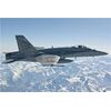 ARW85.001804-F/A-18C Hornet Falcons Staffel 17 J-5017