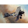 Albatros D.V 2263/17 Otto Kissemberth 1917